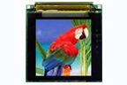 OLED 128 - Display Only
