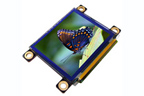 Micro OLED-160-G1