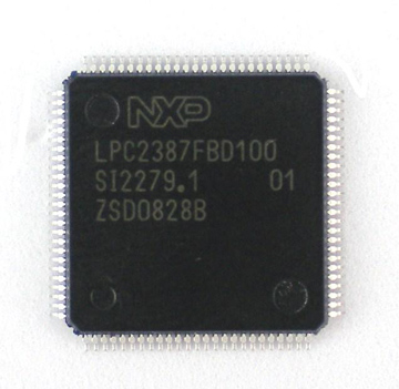 USBizi   .NET Micro 100-pin IC (NXP-LPC2388)